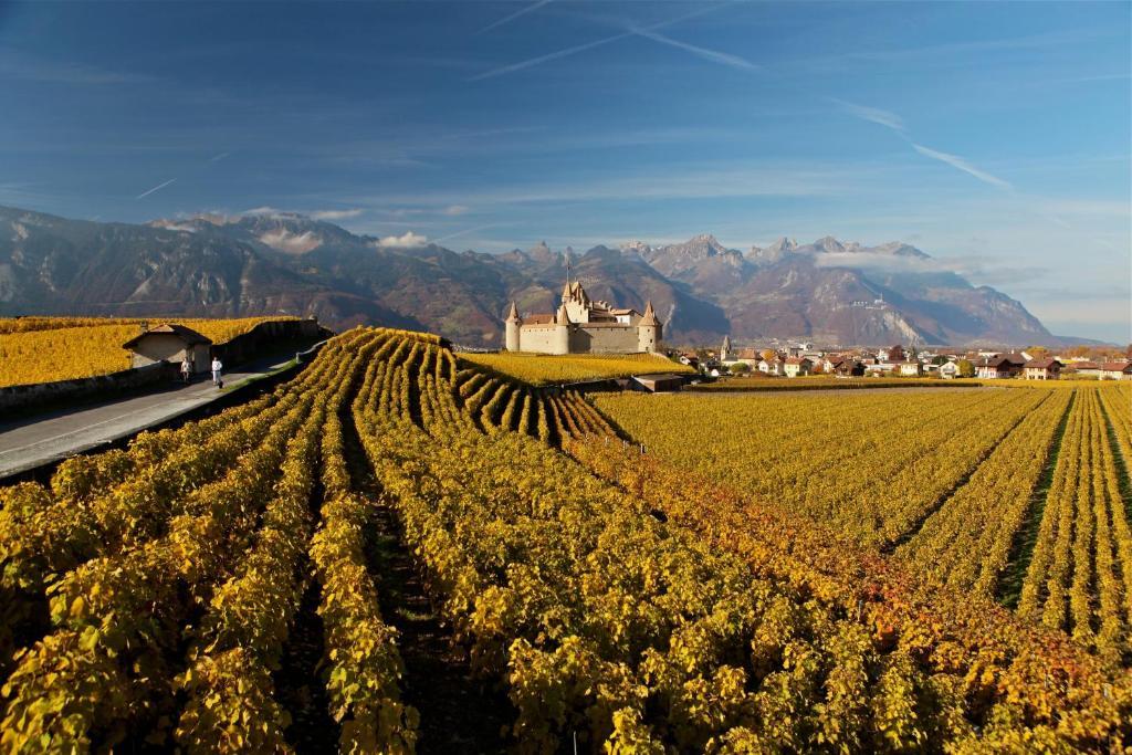 Auberge Communale De La Couronne Yvorne Экстерьер фото